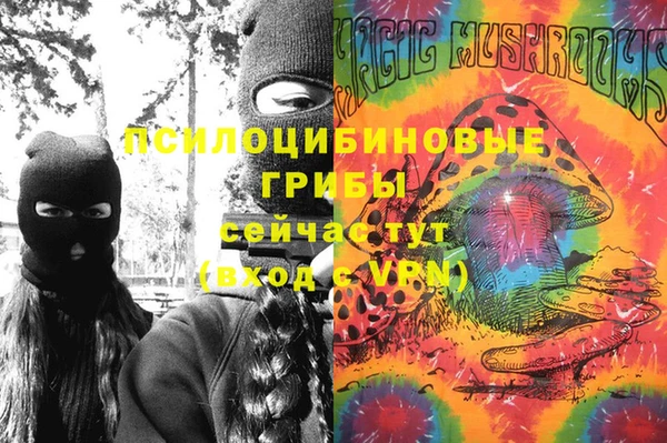 прущие крисы Алексин