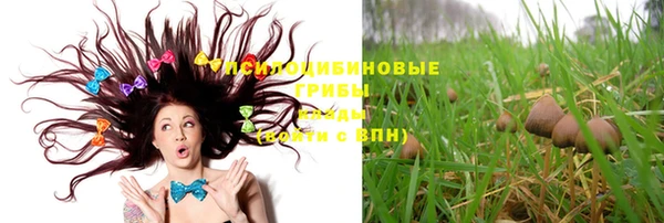 MESCALINE Алзамай
