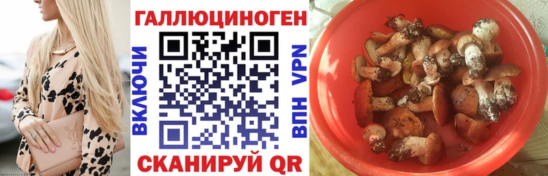 Псилоцибиновые грибы мицелий  Елабуга 