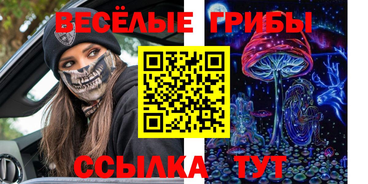 Псилоцибиновые грибы ЛСД Елабуга