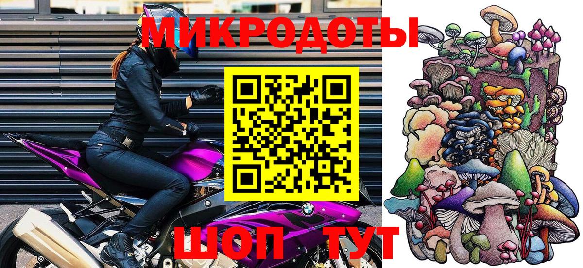 Елабуга  Галлюциногенные грибы Psilocybine cubensis  Вход с VPN 